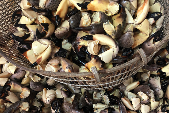 Eating News October – Part 1