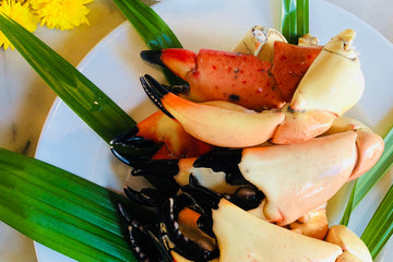 One Jew’s Very Unkosher Business: Stone Crabs Delivered To Your Door