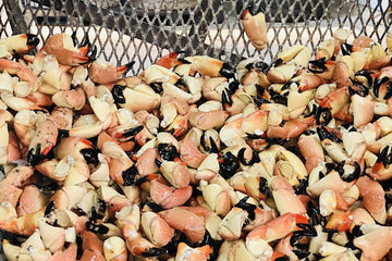 The Return of The Stone Crabs: Where To Get Crackin'